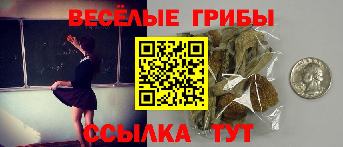 Псилоцибиновые грибы Psilocybe Горячий Ключ
